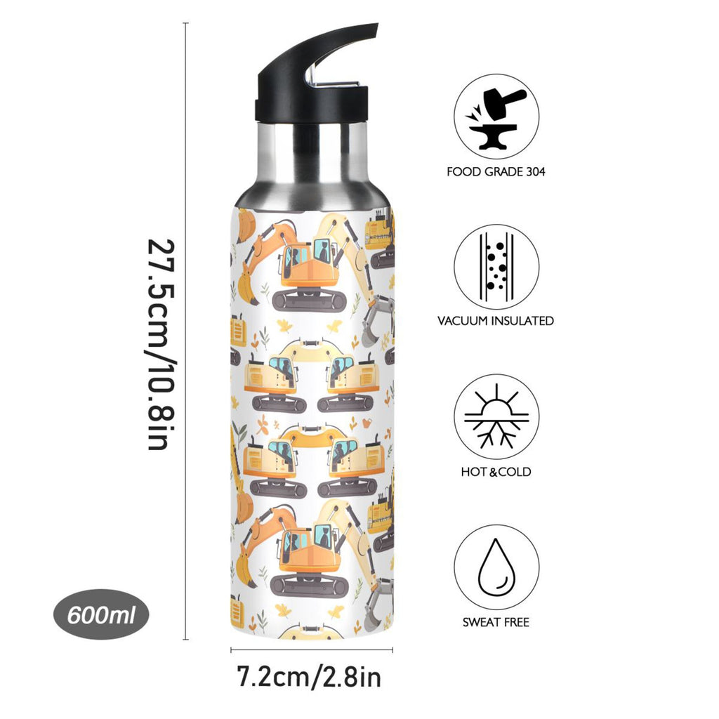Insulated Stainless Steel Water Bottle with Straw Lid, 20 oz K248843
