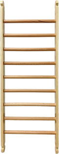 Climbing Triangle Ladder P9741