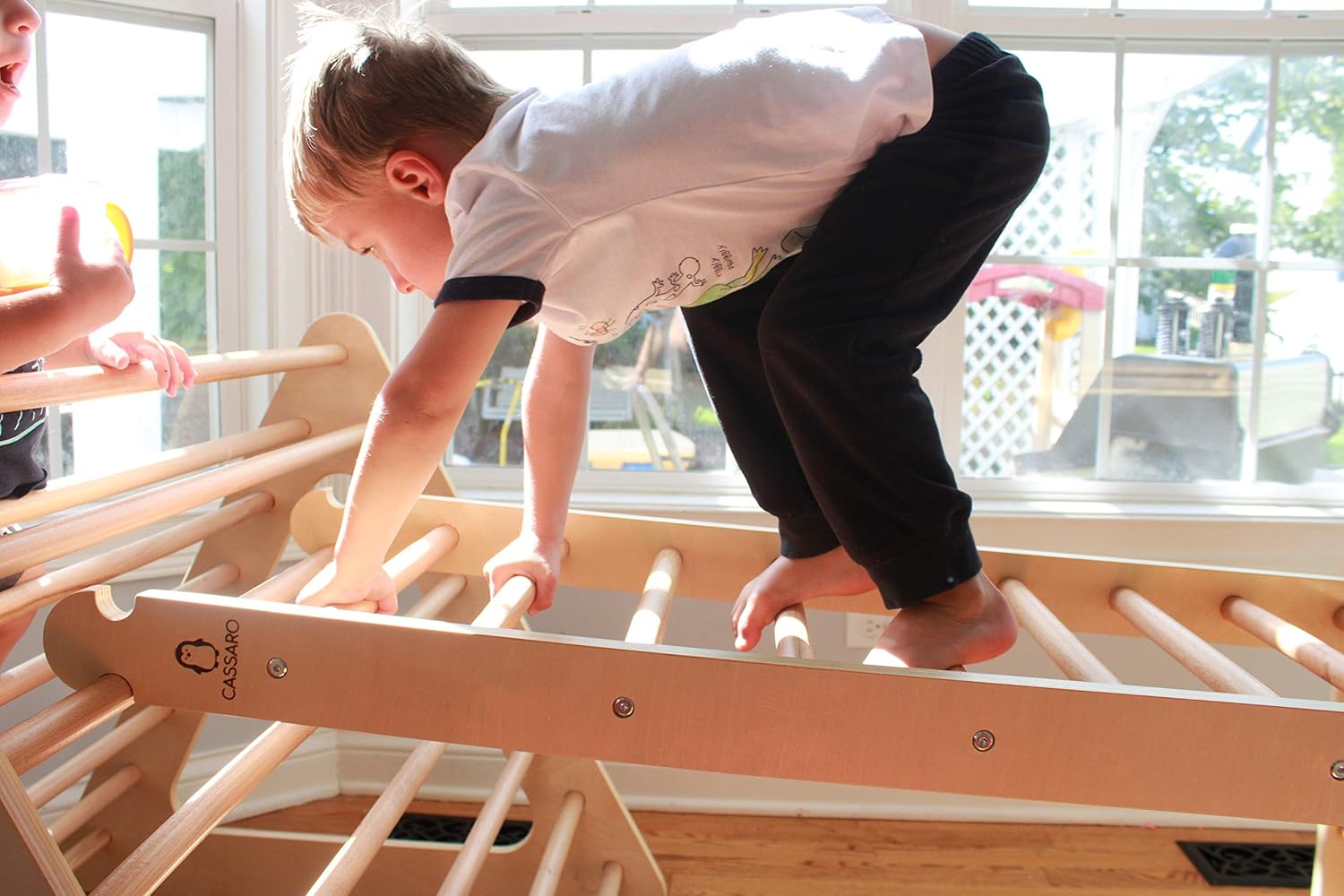 Climbing Triangle Ladder P9741