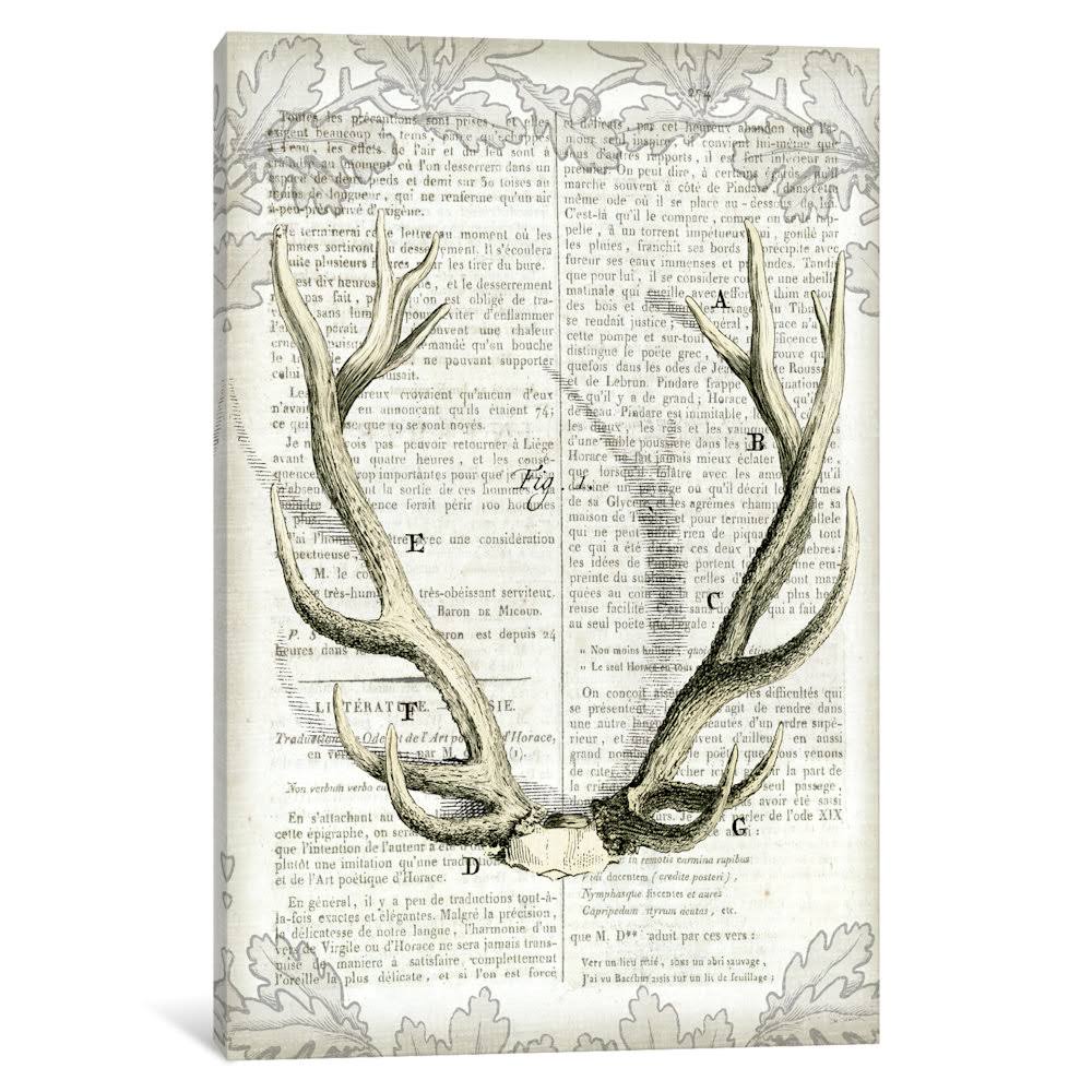 Regal Antlers on Newsprint I Y809