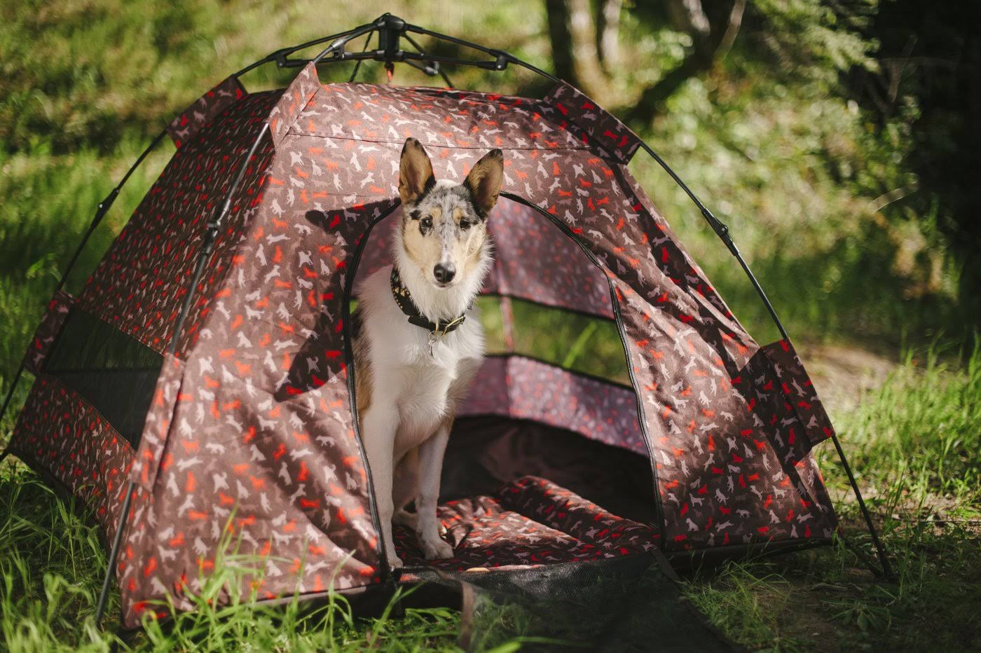 Outdoor Dog Tent - One Size O649390