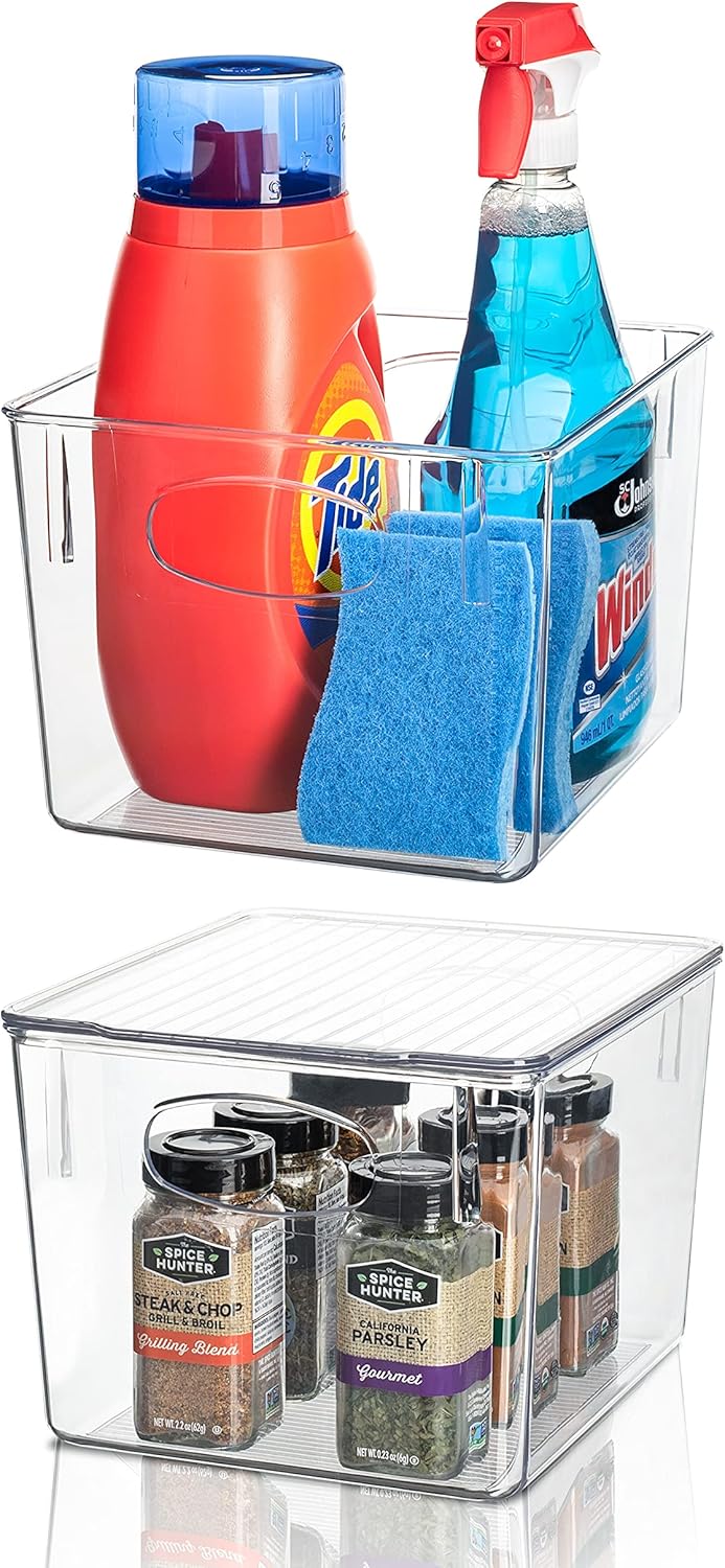 Clear Stackable Plastic Storage Bins with Lid, 4 Pack of 2 H875