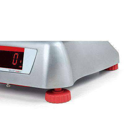 Legal for Trade Food Scale T950331