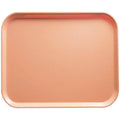 Rectangular Camtray Y66730