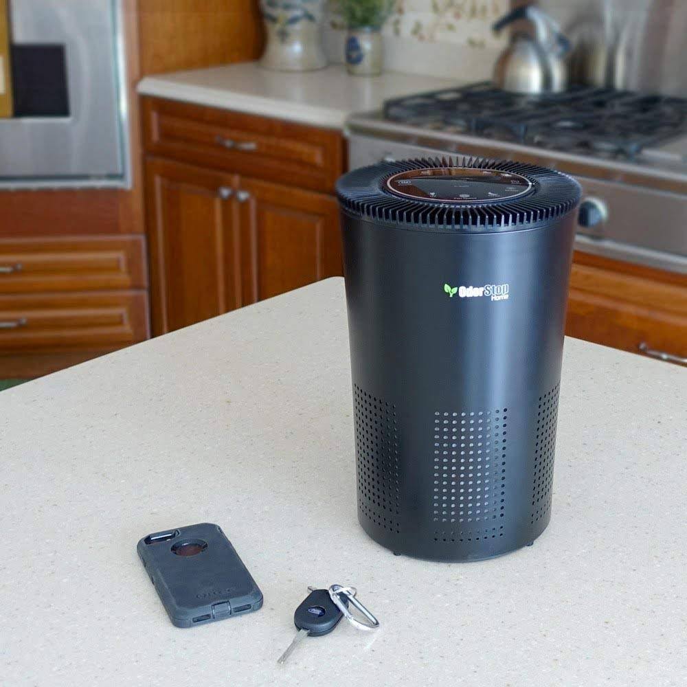 5-in-1 Air Purifier with H13 HEPA Filter, UV, Active Carbon O873285