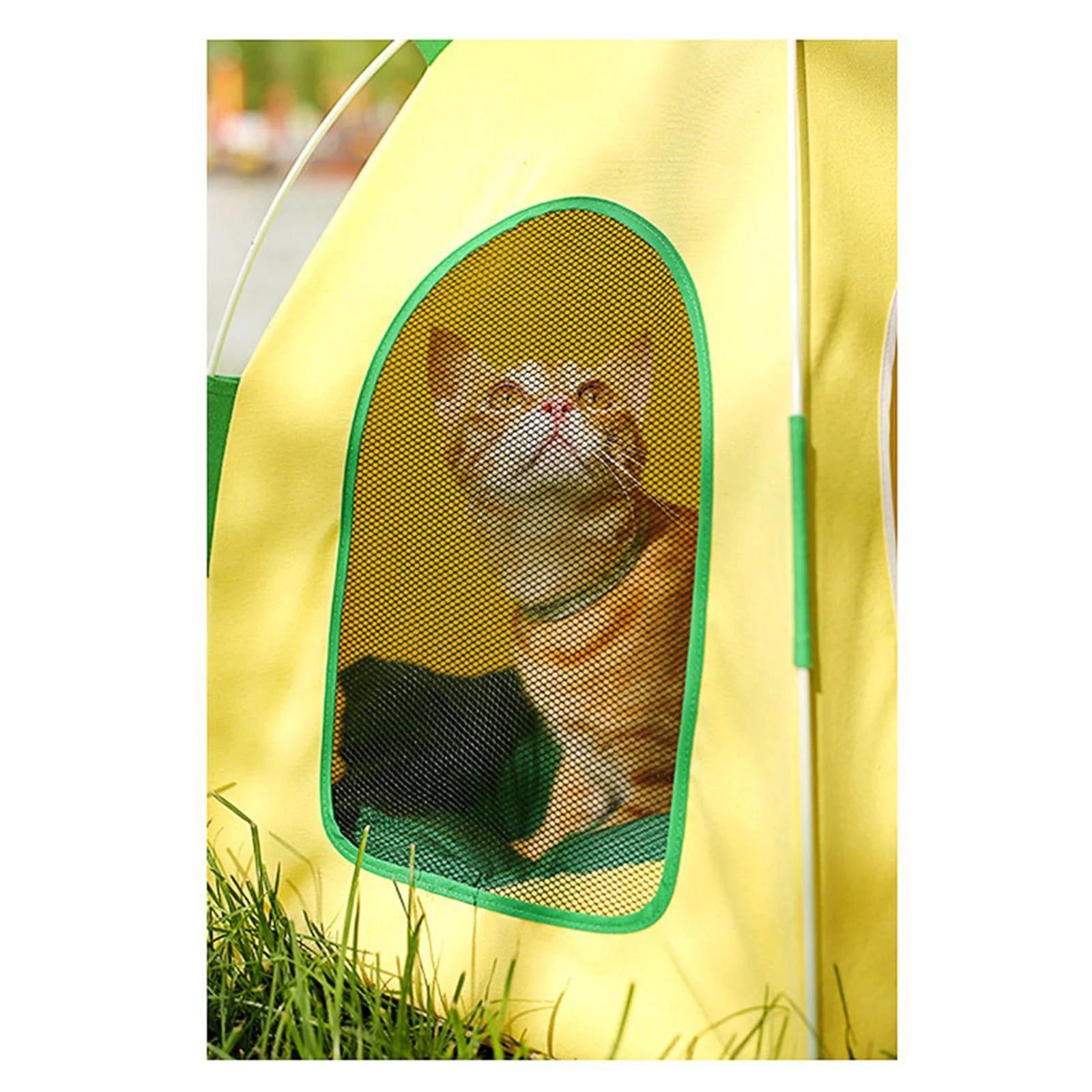 Pineapple Cat Dog Tent Hut Portable Pet House J43708