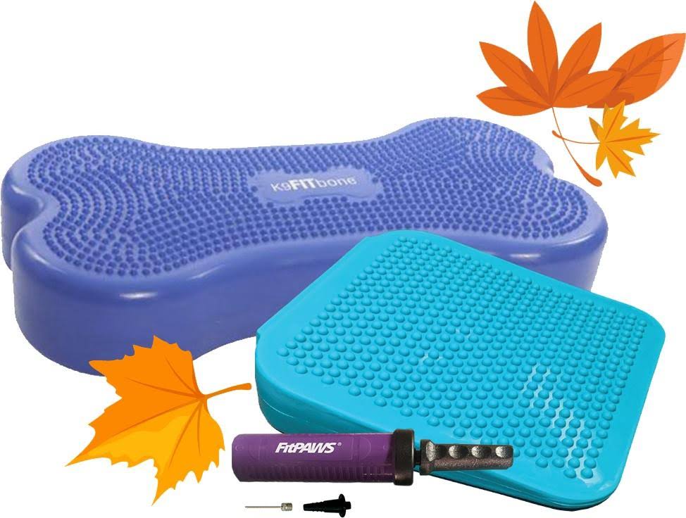 Canine Fitness Kit T985