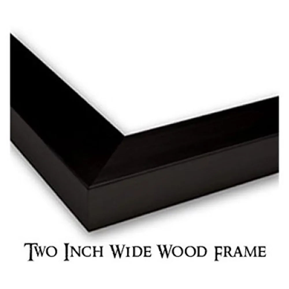 Black Modern Framed Museum Art Print X9961