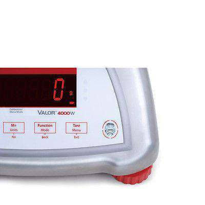 Legal for Trade Food Scale T950331