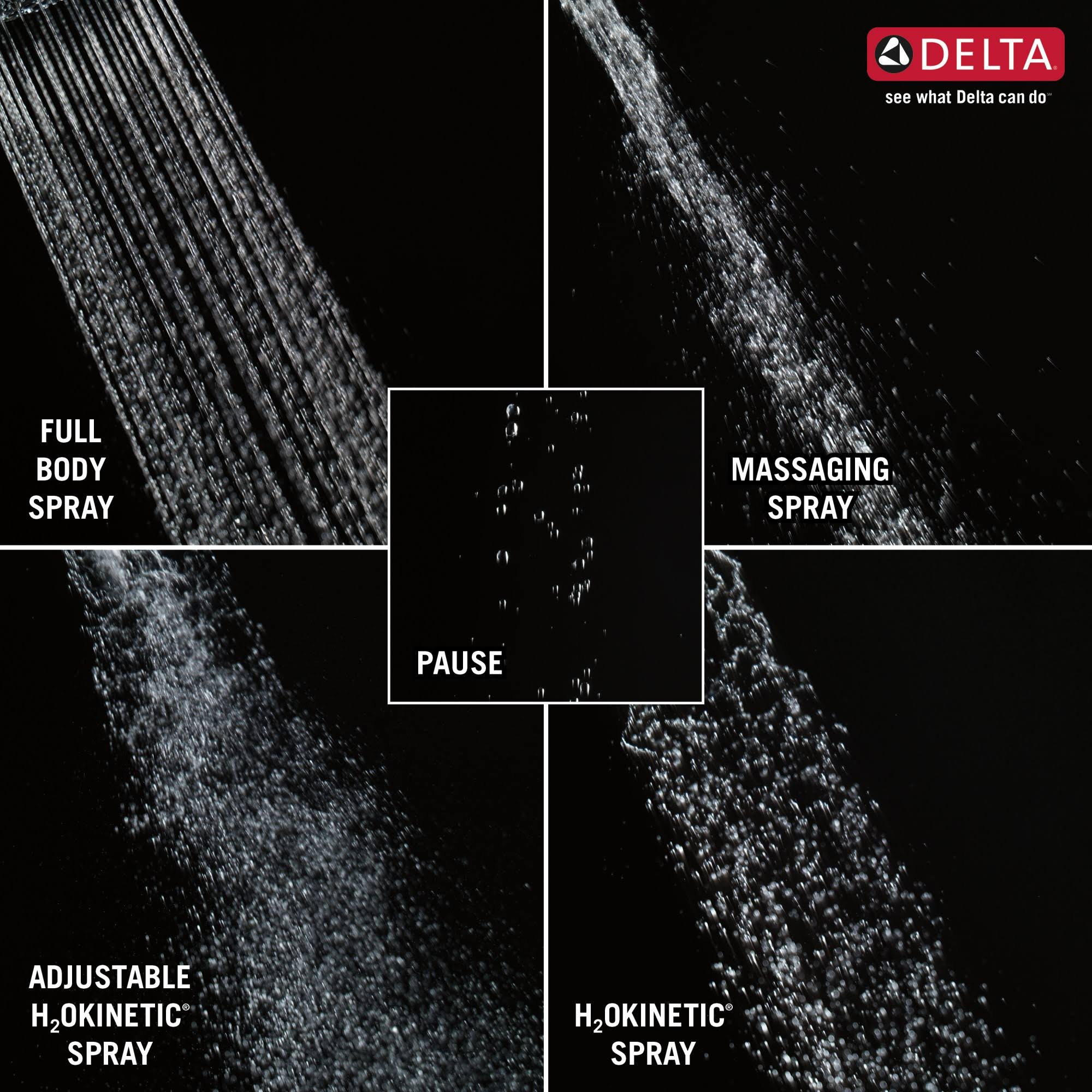 Matte Black Two-in-One Shower D5147