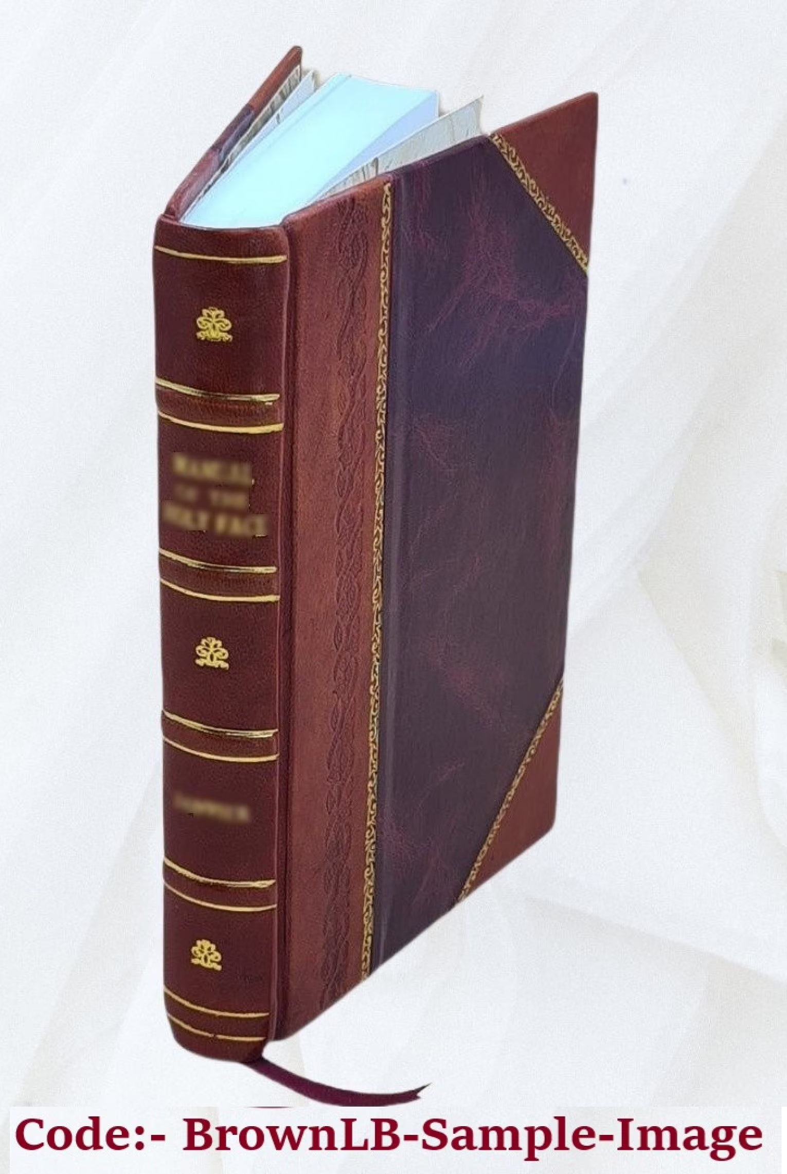 Leather Bound Book E2770