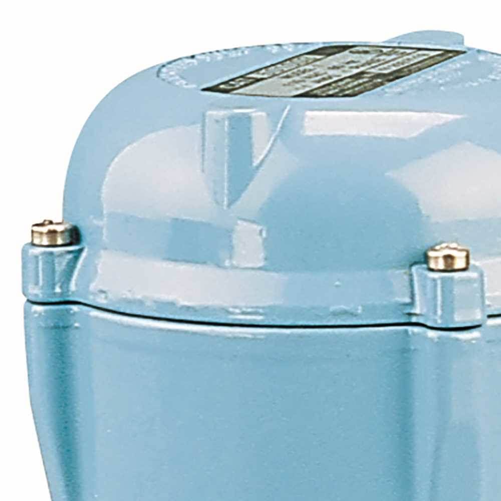 170 GPH Permanently Lubricated Pump F1352