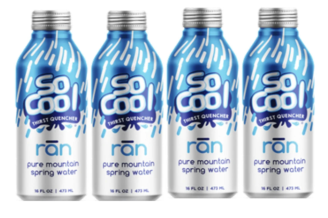 16 Fl Oz (4 Pack) Purified Still Mountain Spring Water in Aluminum Bottle T17794