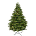 5.5 ft Douglas Fir Dura-Lit M464