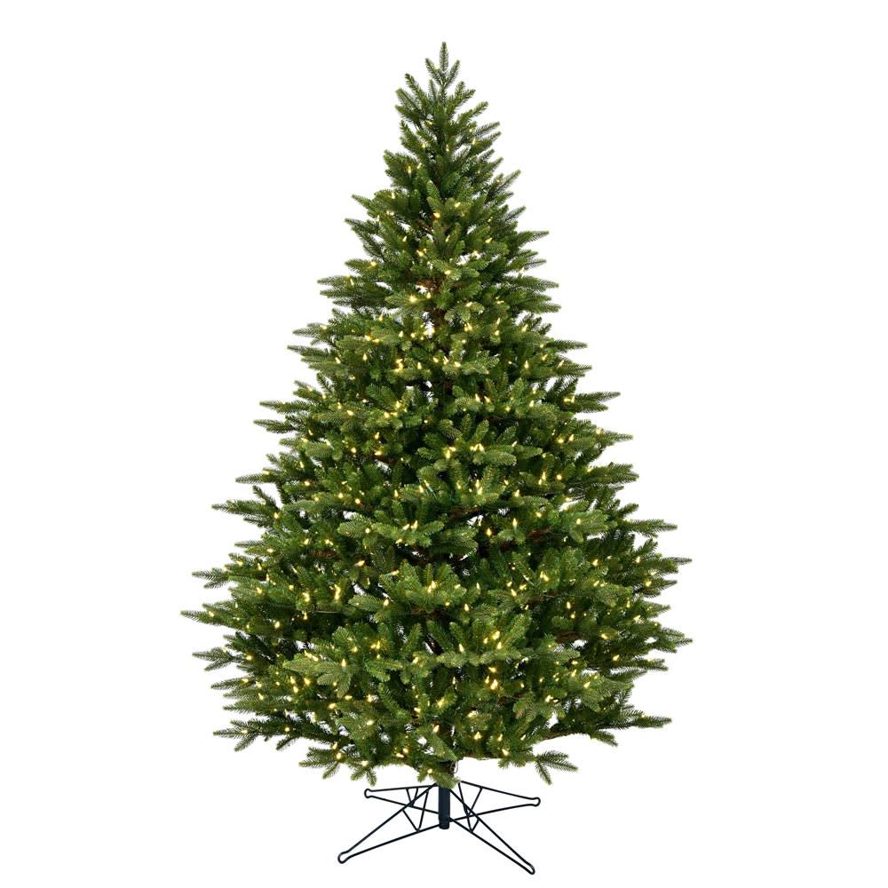 5.5 ft Douglas Fir Dura-Lit M464