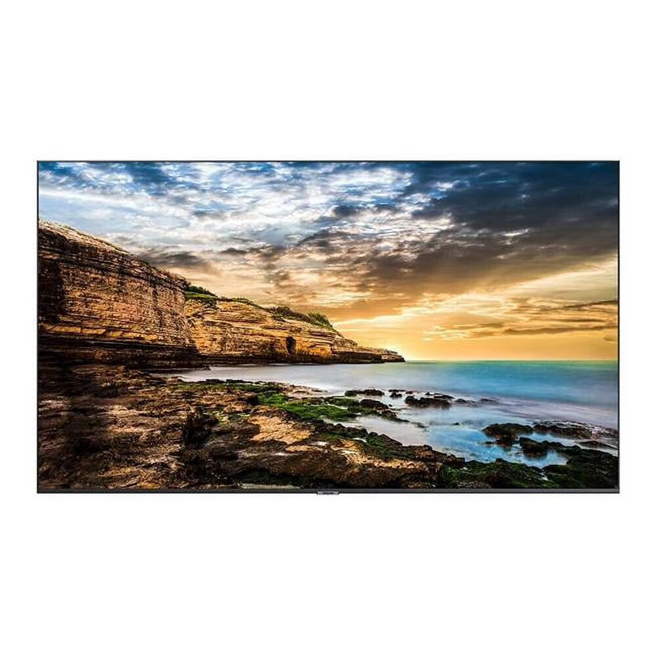 4K UHD Commercial Display I256719