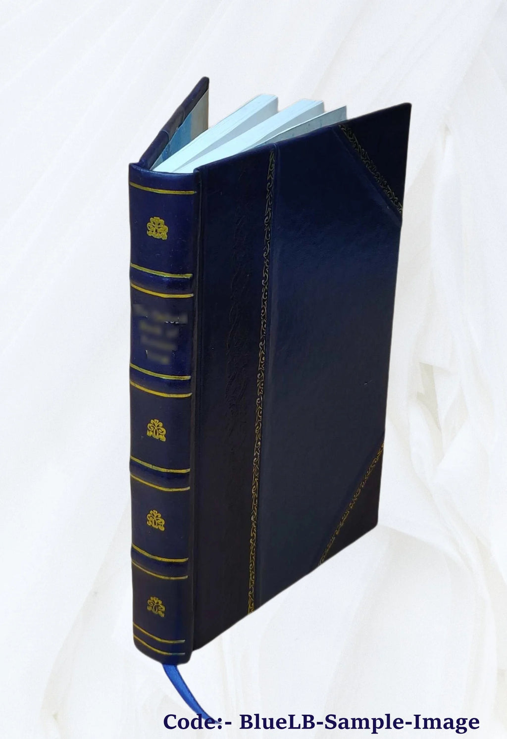 Leather Bound Book E2770
