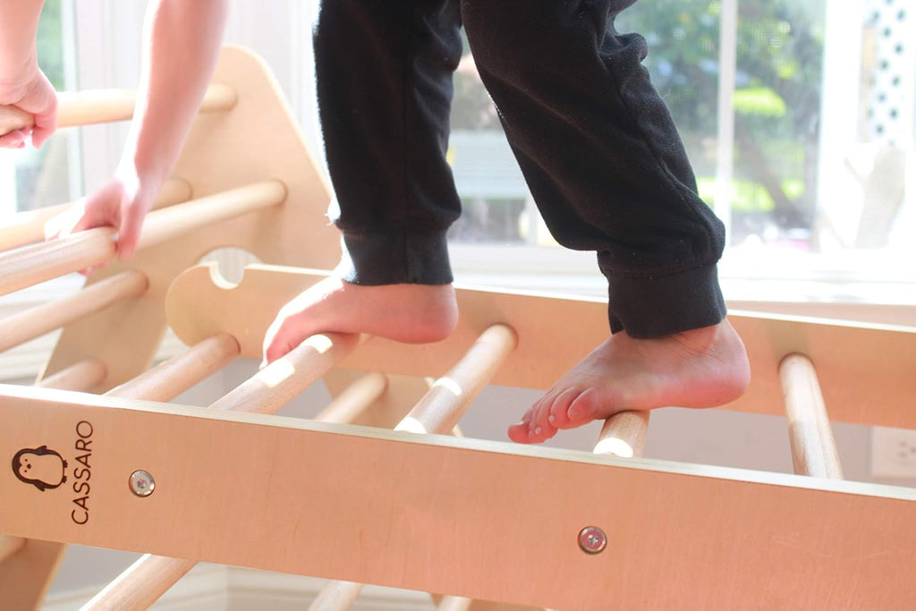 Climbing Triangle Ladder P9741