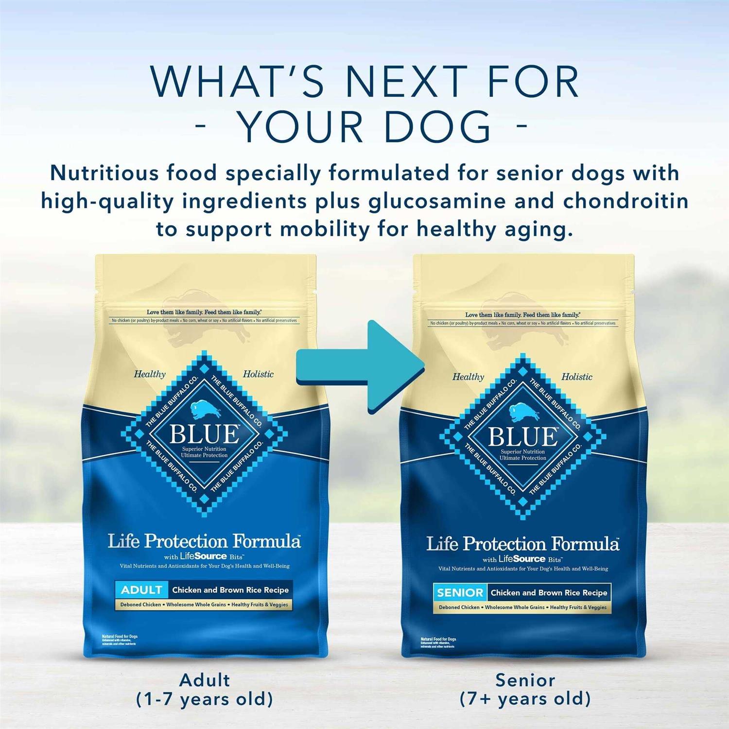 Blue Buffalo Life Protection Dry Adult Dog Food Chicken and Brown Rice K19782