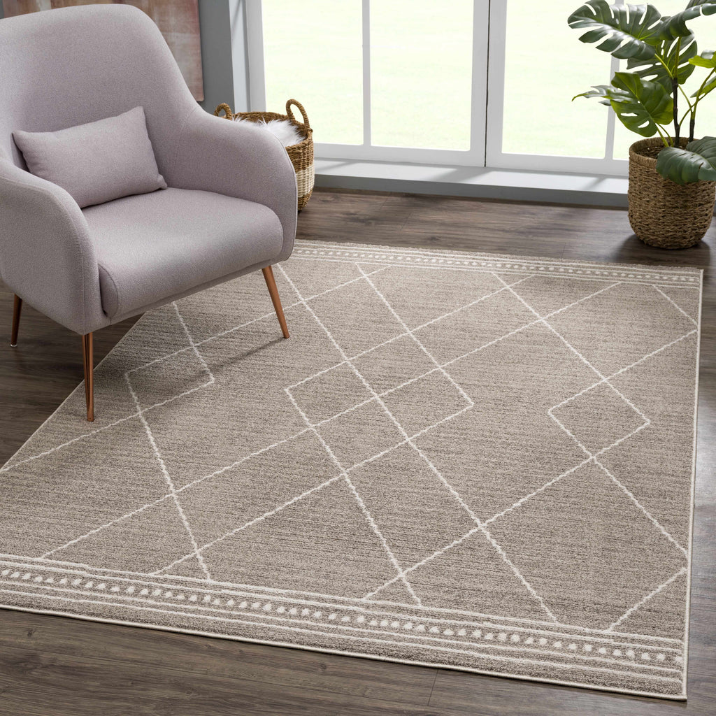 Brown White Runner Rug J248302
