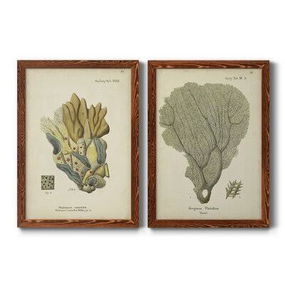 Ecru Coral Framed Canvas Print S73748