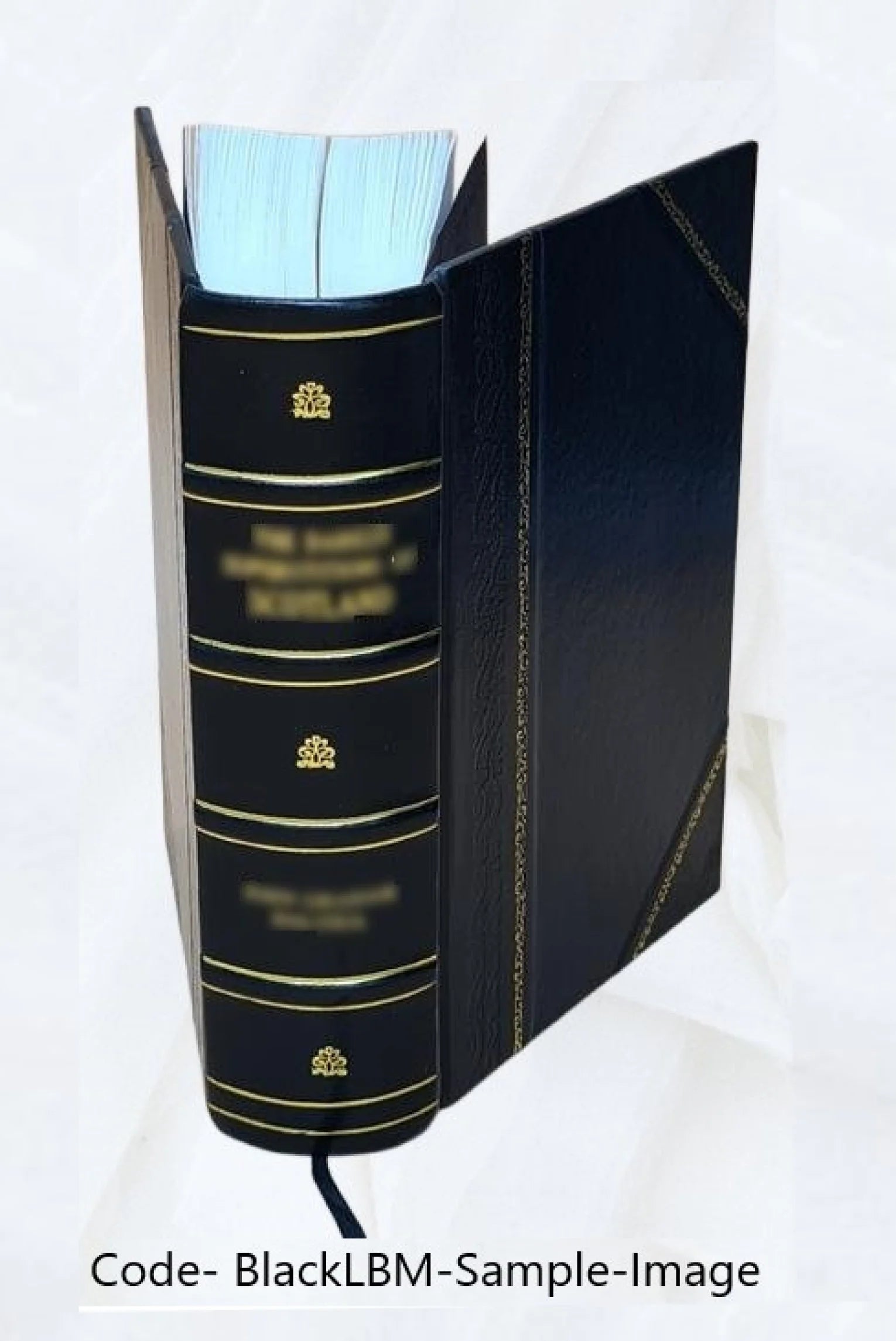 Thermodynamik Und Kinetik Der Korper Vol - II K324529
