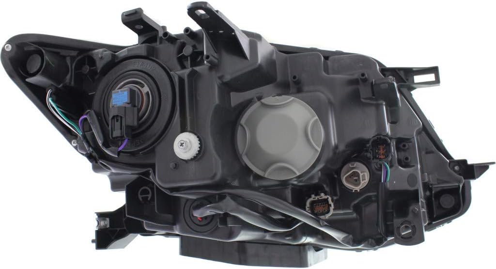 Halogen Headlight Driver and Passenger Side Bulbs Included R125799