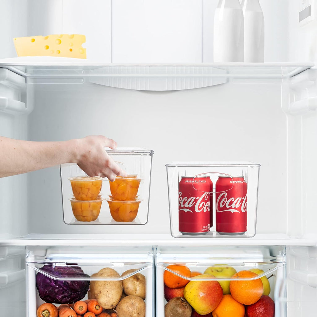 Clear Stackable Plastic Storage Bins with Lid, 4 Pack of 2 H875