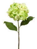 12 Pieces Hydrangea Spray Lime O52493