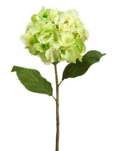 12 Pieces Hydrangea Spray Lime O52493