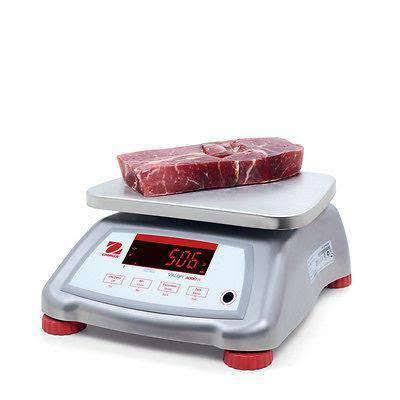 Legal for Trade Food Scale T950331