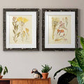 Antique Botanical Sketch Framed Print D796306