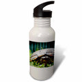 Ornate Wood Turtle Sports Water Bottle, 21oz J667