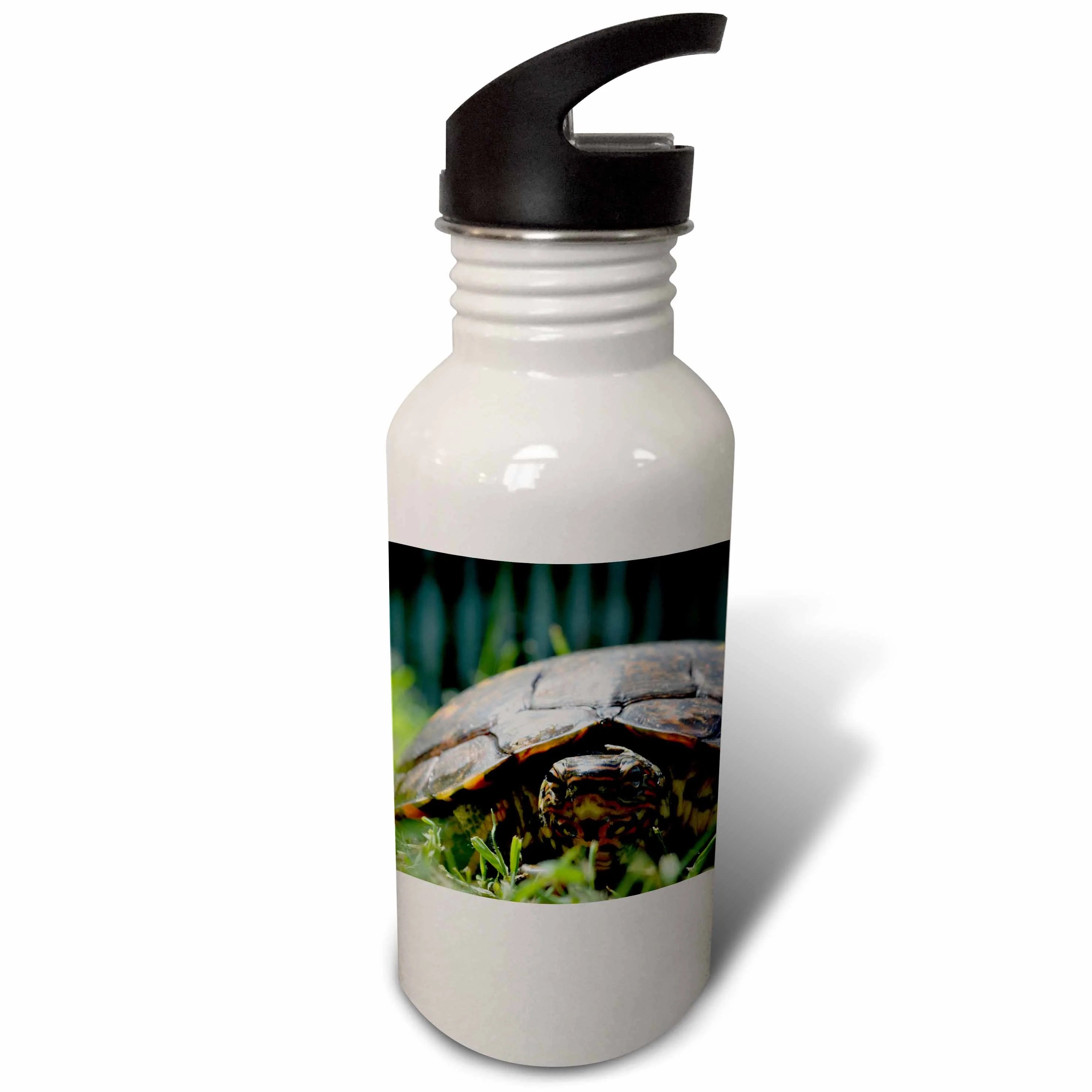 Ornate Wood Turtle Sports Water Bottle, 21oz J667
