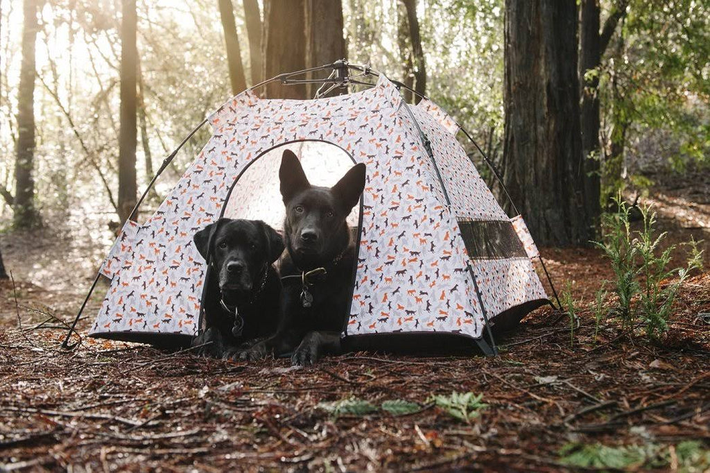 Outdoor Dog Tent - One Size O649390