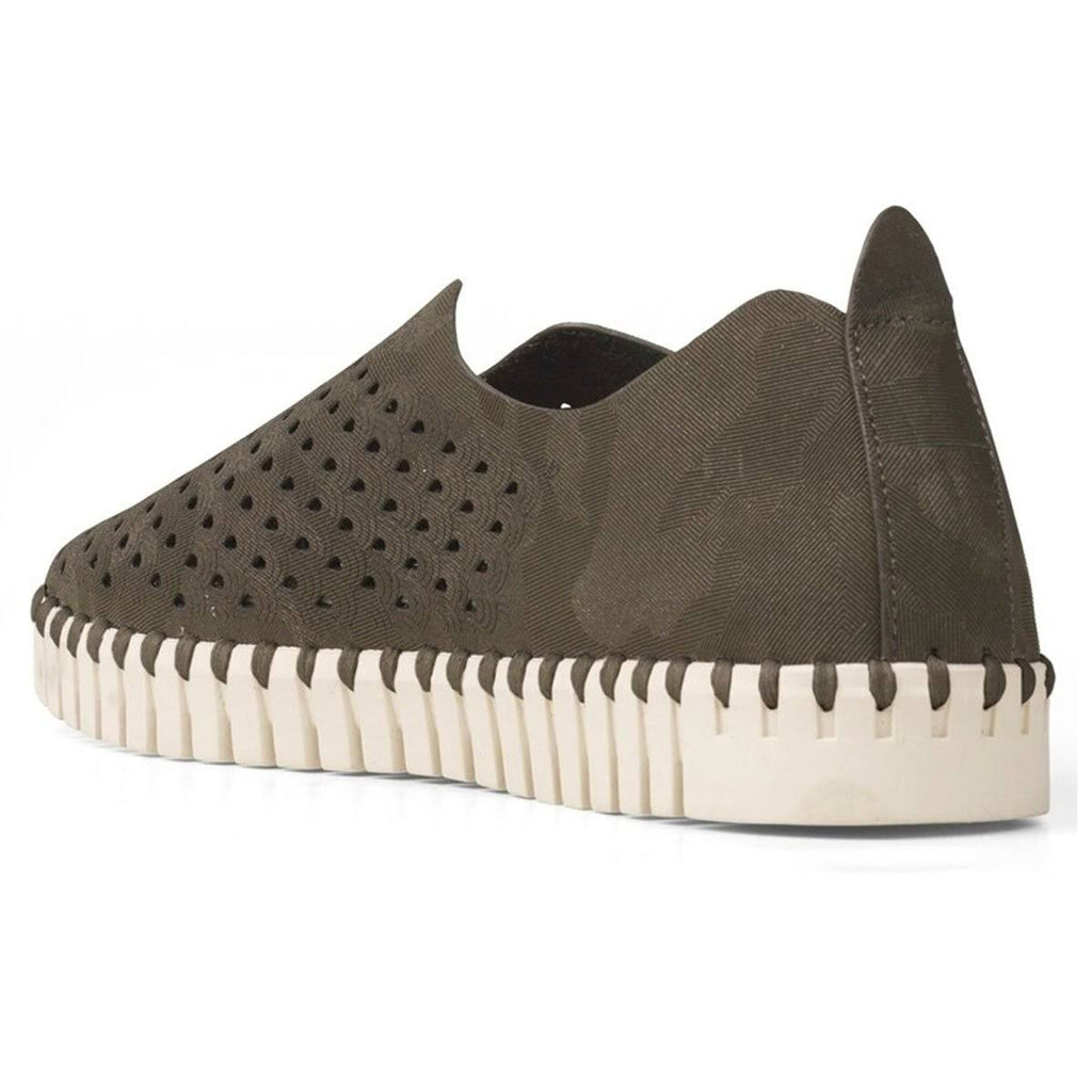Army 39 Tulip K436326
