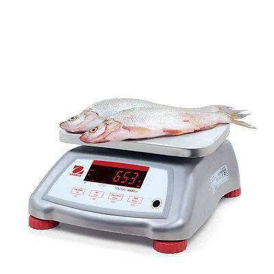 Legal for Trade Food Scale T950331