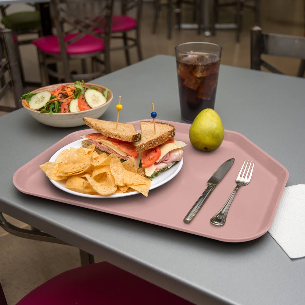 Mauve Glasteel Fiberglass Trapezoid Tray B8538