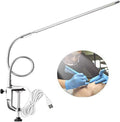 USB LED Desk Lamp with Clamp W930569