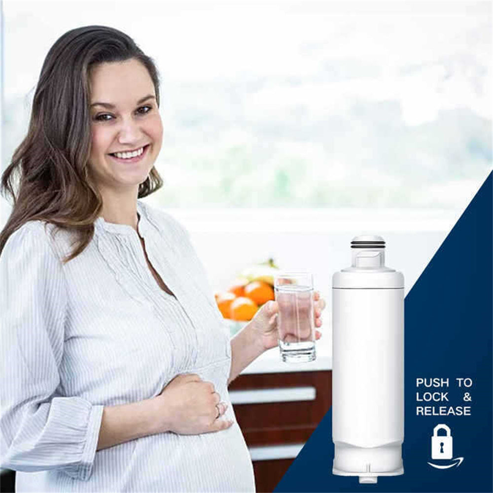 4 Pack Refrigerator Water Filter N53361