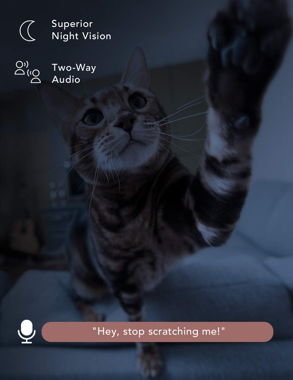 WiFi Pet Camera with AI Tracking and 2-Way Audio O906501