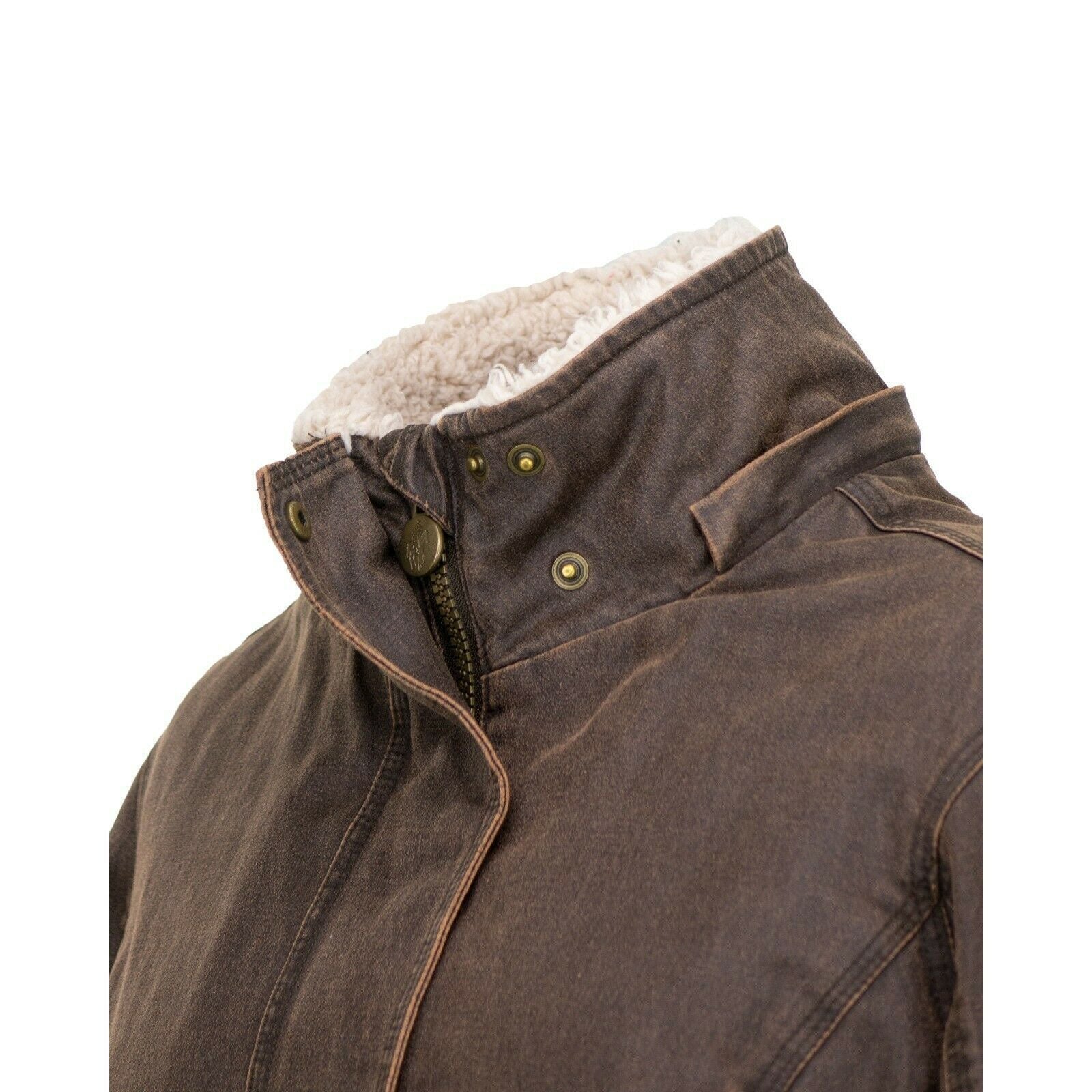 Brown Removable Hood Jacket P4822